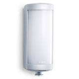 55429_L626_LED_silber.png