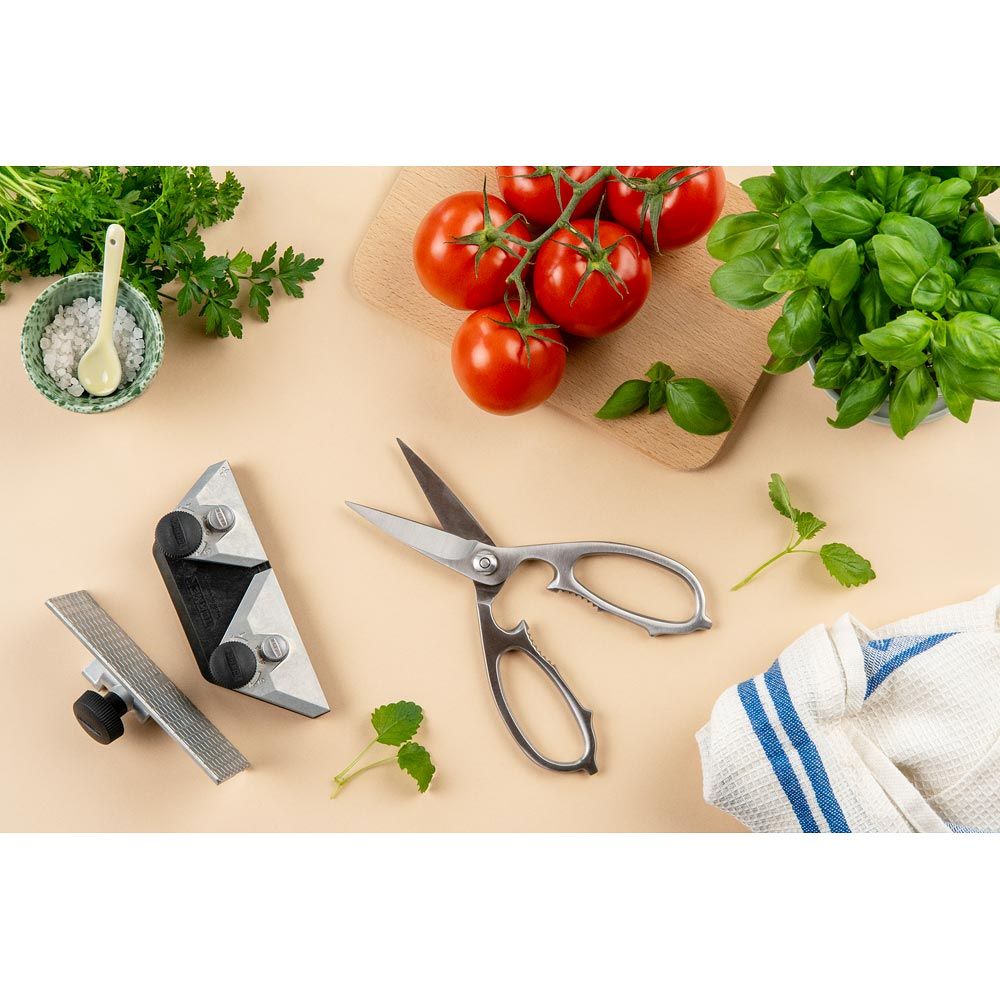 Tormek skærastýring