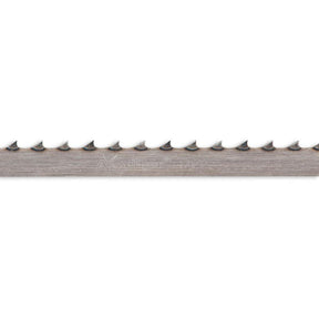 504849_xl.jpg