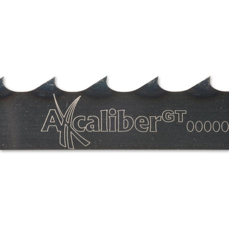 d581f57f-41fd-4041-b917-ccab72698bb8_Axcaliber_Bandsa_58b4794d9ba5d.jpg