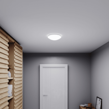 80832_CloseUp_RS-16-L.png
