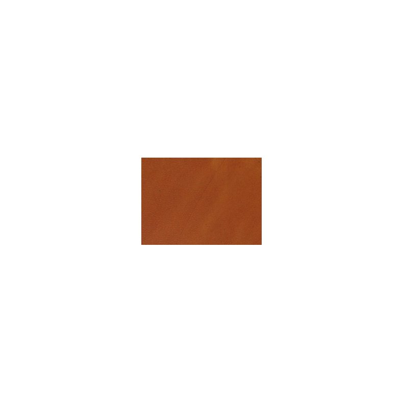 tan-11.w790.h790.backdrop.jpg