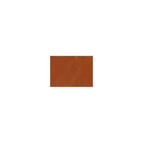 tan-11.w790.h790.backdrop.jpg