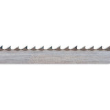 505851_xl.jpg