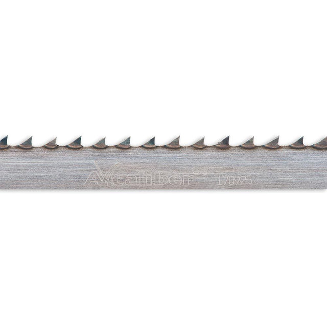 505851_xl.jpg