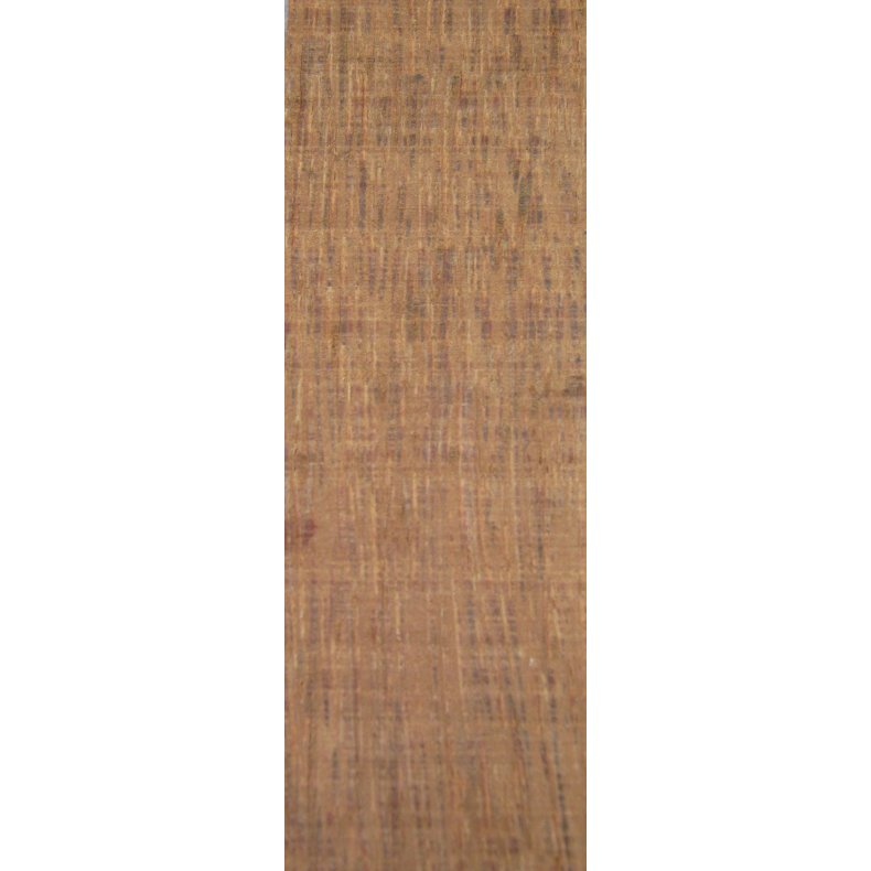 Palme.w790.h790.backdrop.jpg