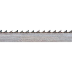 505851_xl.jpg
