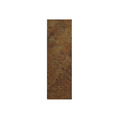 Thuja.w790.h790.backdrop.jpg