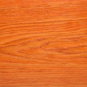 c98ec788-9436-40ec-bb1d-1af1af20a173_Mylands_Sprittb__4efaf902657ae.jpg