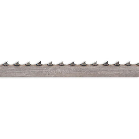 504849_xl.jpg
