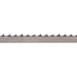 504849_xl.jpg