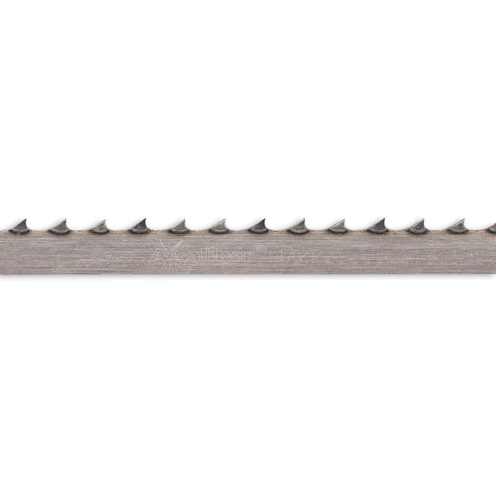 504849_xl.jpg