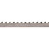 504849_xl.jpg