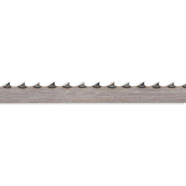 504849_xl.jpg