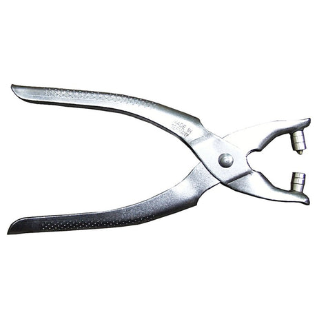 ring-tang.w790.h790.backdrop.jpg
