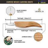 c18_infographics_shopify.webp