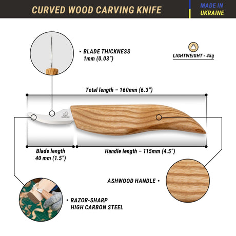 c18_infographics_shopify.webp