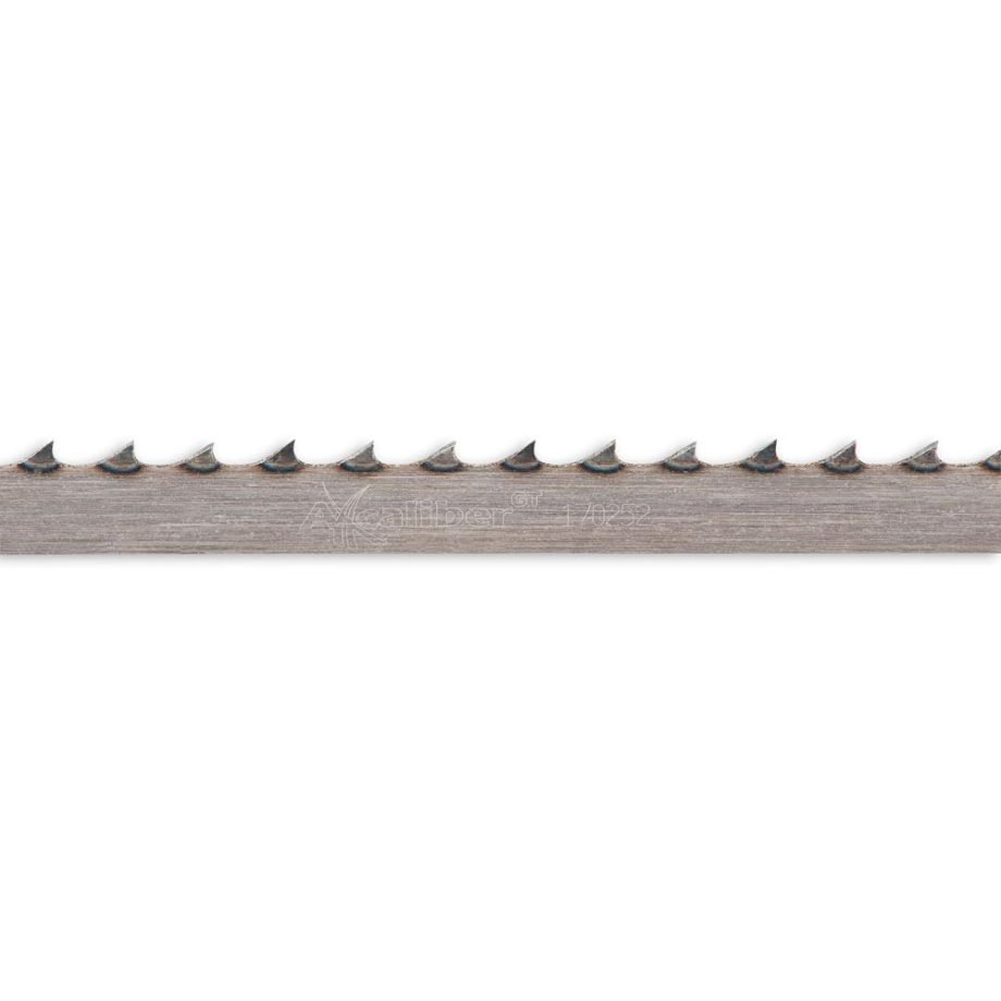504849_xl.jpg