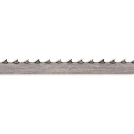 504849_xl.jpg