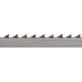 505850_xl.jpg